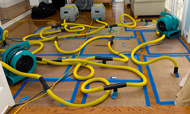 Professional Basement Flood Cleanup technician working in Cave Junction, OR